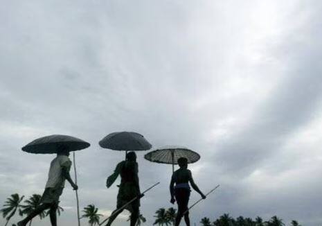ध्या राज्यात पावसानं (Rain)दडी मारली आहे. पावसाअभावी खरीपाची पिकं (Kharif crops) वाया जाण्याचा धोका निर्माण झाला आहे.