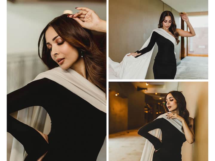 Malaika's most recent photos in a monochrome gown set goals for fashion enthusiasts. The actress looked stunning in the ensemble she wore to an event.