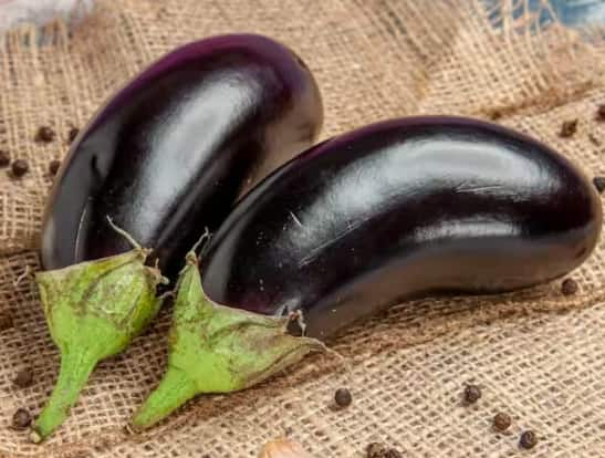 Brinjal: ਹੋਰ ਸਬਜ਼ੀਆਂ ਦੀ ਤਰ੍ਹਾਂ ਬੈਂਗਣ ਵੀ ਸਿਹਤ ਲਈ ਬਹੁਤ ਫਾਇਦੇਮੰਦ ਮੰਨਿਆ ਜਾਂਦਾ ਹੈ। ਇਸ 'ਚ ਕਈ ਜ਼ਰੂਰੀ ਪੋਸ਼ਕ ਤੱਤ ਪਾਏ ਜਾਂਦੇ ਹਨ। ਹਾਲਾਂਕਿ, ਬਰਸਾਤ ਦੇ ਮੌਸਮ ਵਿੱਚ ਇਸਨੂੰ ਖਾਣ ਤੋਂ ਪਰਹੇਜ਼ ਕਰਨਾ ਚਾਹੀਦਾ ਹੈ।