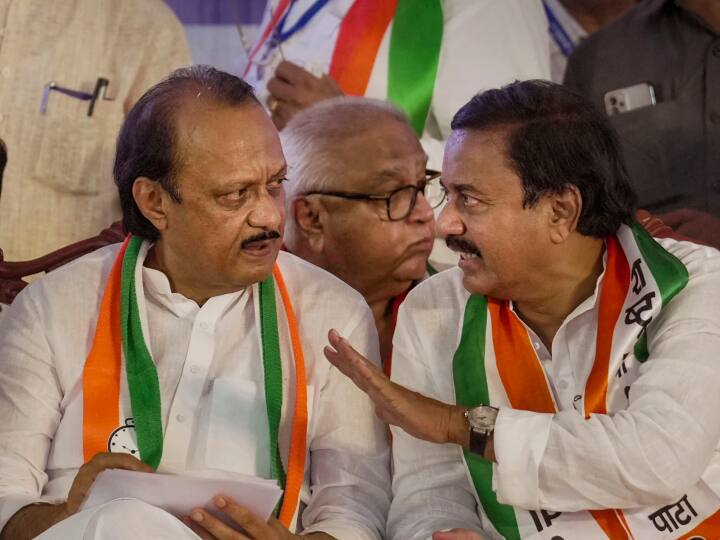 अजित पवार की एनसीपी के प्रदेश अध्यक्ष सुनील तटकरे ने कहा कि पार्टी में रैंक को लेकर कोई कन्फ्यूजन नहीं है. हम सरकार में सभी कानूनी रास्ते जानने के बाद शामिल हुए हैं.