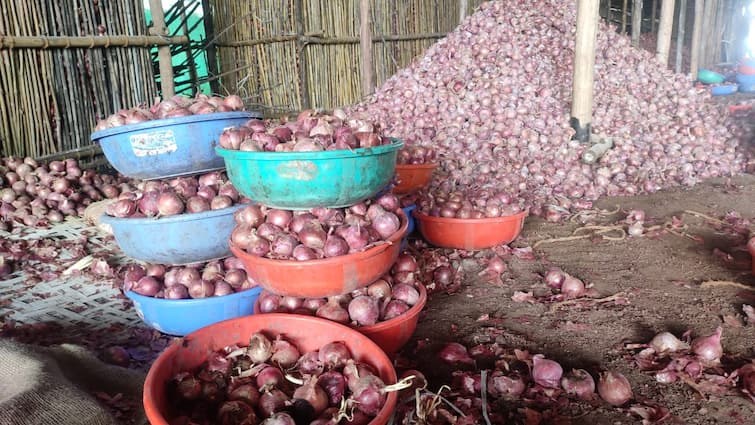 Agriculrure News onion farmers What exactly happen after duty on onion export? What do the experts think Maharashtra Onion Issue : कांद्याच्या निर्यातीवर शुल्क आकारल्यानं नेमकं काय होणार? तज्ञांचं मत काय...जाणून घ्या एका क्लिकवर