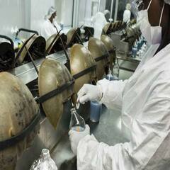 Horseshoe Crab Blood: ਇਸ ਵਿਲੱਖਣ ਜੀਵ ਦਾ ਖੂਨ ਮੰਨਿਆ ਜਾਂਦਾ ਹੈ ਅੰਮ੍ਰਿਤ, ਕੀਮਤ ਜਾਣ ਹੋ ਜਾਓਗੇ ਹੈਰਾਨ