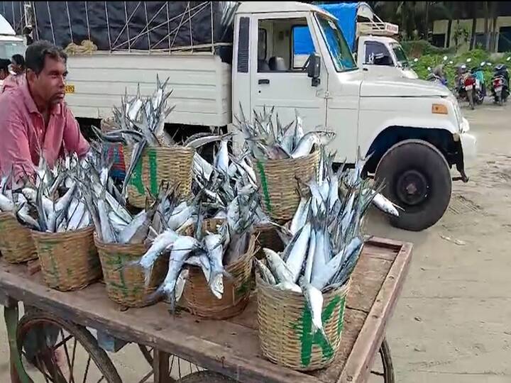 अन् हा भाव टोपलीमागे 200 रुपयांवर येऊन ठेपला.