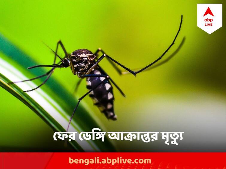 35 years old died of dengue in Kolkata Dumdum Dengue Death : শহরে মৃত্যু ৩৫ বছরের ডেঙ্গি আক্রান্তের, ফের চোখ রাঙাচ্ছে মশাবাহিত রোগ