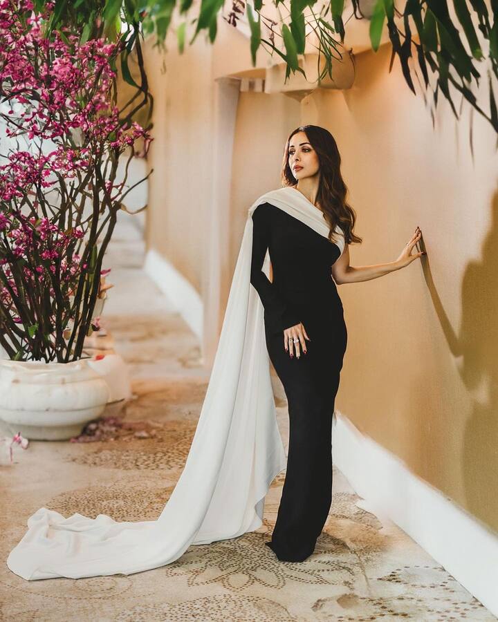 She completed her look with moderate makeup comprising a brown lipstick, kohl and contoured cheeks. (Image Source: Instagram/Aastha Sharma)