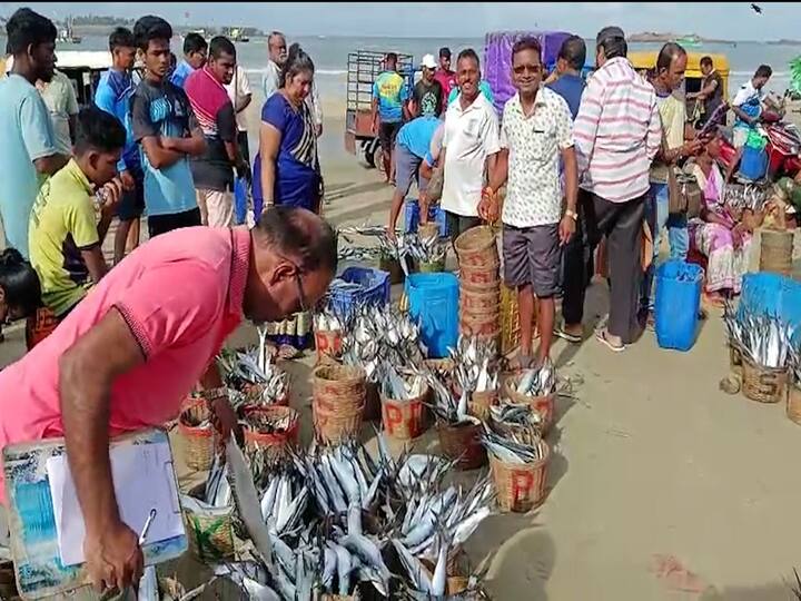 कर्ली मासे घेऊन मच्छिमार मोठ्या आनंदात किनाऱ्यावर आले.