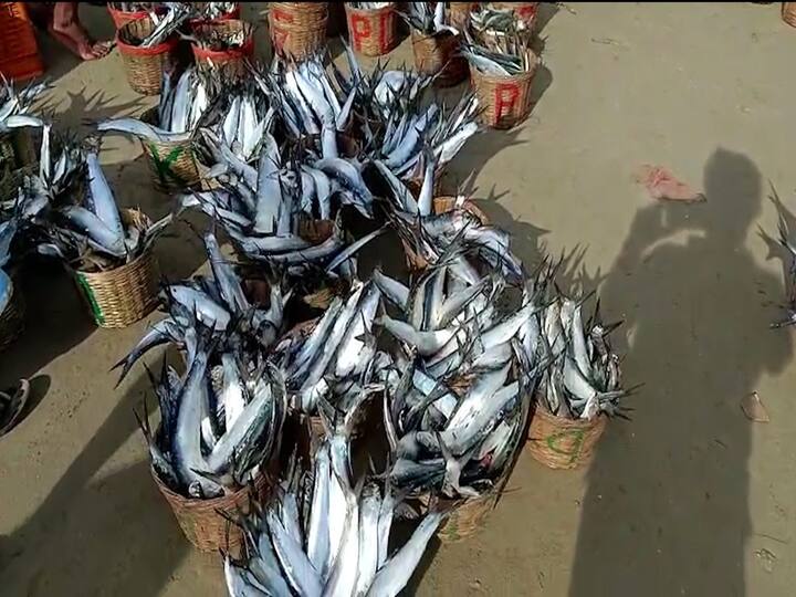 त्यानंतर काही क्षणातच कर्लीच्या दरात कमालीची घसरण सुरु झाली.