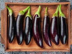 बारिश के मौसम में क्यों नहीं खाना चाहिए बैगन, एक्सपर्ट से जानिए जवाब