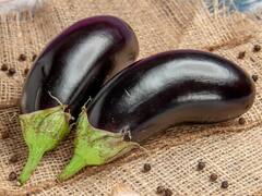बारिश के मौसम में क्यों नहीं खाना चाहिए बैगन, एक्सपर्ट से जानिए जवाब