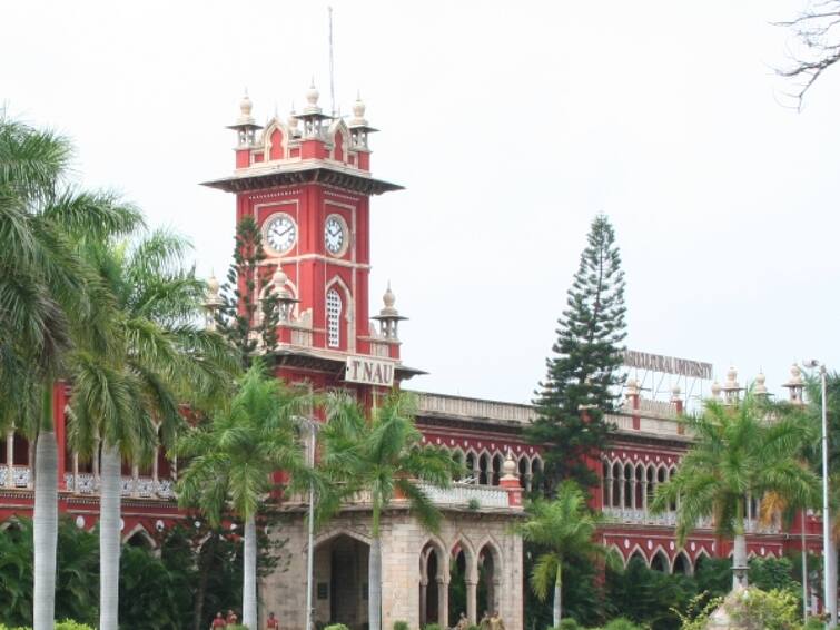 Tamil Nadu Agricultural University Young Professtional Job in Coimbatore Interview date 31 August 2023  Check details TNAU Recruitment 2023: தமிழ்நாடு வேளாண்மை பல்கலைக்கழகத்தில் வேலை; வரும் 31-ஆம் தேதி நேர்காணல் - முழு விவரம்