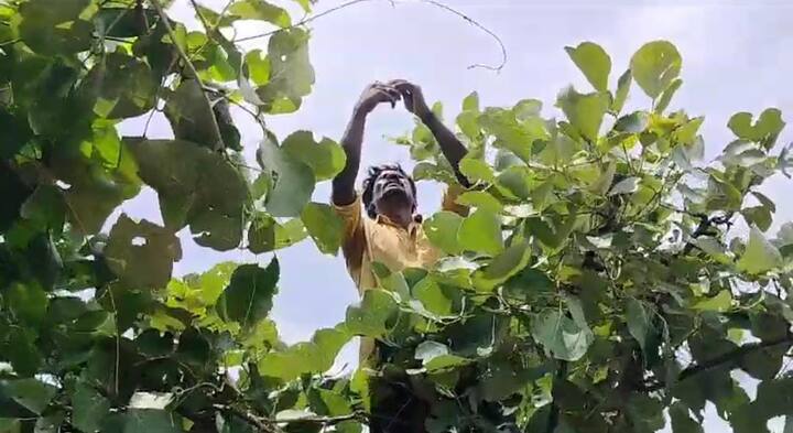 कारण राज्यातील वेगवेगळ्या भागात आजही अनेक गावात साधे मोबाईल नेटवर्कही उपलब्ध नाही.