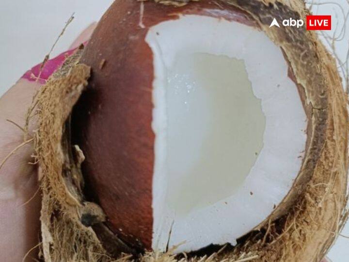 हिंदू धर्म में किसी भी पूजा में नारियल चढ़ाना बेहद जरुरी माना गया है. हर धर्मिक अनुष्ठान में नारियल का होना जरुरी होता है. नारियल एक फल है, जिसको बहुत पवित्र माना गया है. नारियल को भगवान पर चढ़ाना शुभ माना गया है.