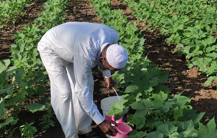 पिकांना जगवण्यासाठी बळीराजा थेंब थेंब पाणी घालतांना पाहायला मिळतोय. असंच काही चित्र औरंगाबादच्या पैठण तालुक्यातील पाडळी गावात पाहायला मिळत आहे.