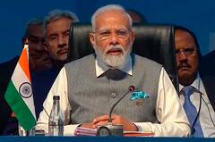 PM Narendra Modi:'ব্রিকস' শীর্ষবৈঠকের পাশে কী কথা মোদি-জিনপিংয়ের?