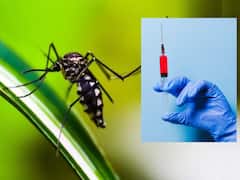 డెంగ్యూకు వ్యాక్సిన్, 2026 నాటికి తీసుకువస్తామన్న హైదరాబాద్ కంపెనీ