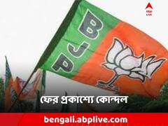 নেতৃত্ব নিয়ে ক্ষোভ! শিলিগুড়িতে পদত্যাগ একের পর এক বিজেপি নেতার