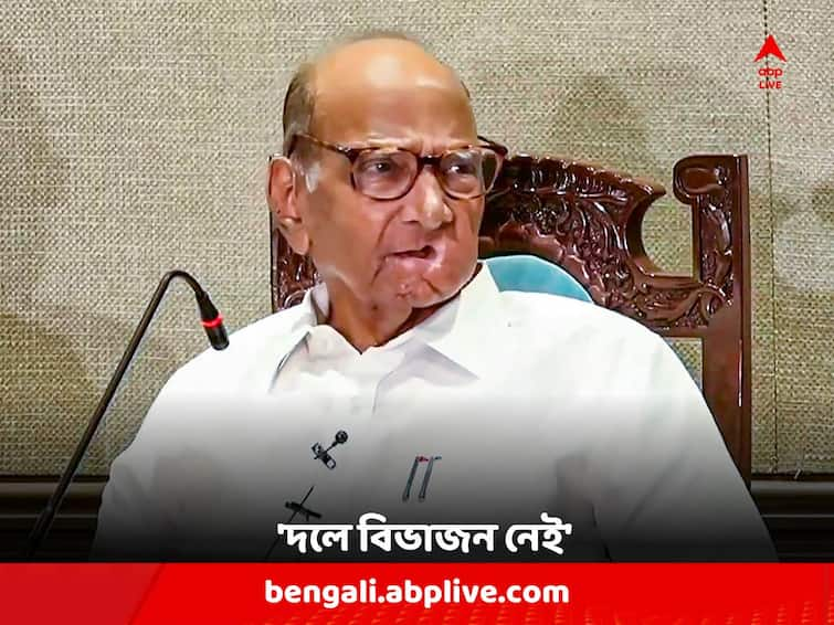 NCP Chief Sharad Pawar claims 'no split' in party Sharad Pawar on NCP: 'NCP ভাগ হয়নি', শরদ পাওয়ারের দাবি ঘিরে শোরগোল !