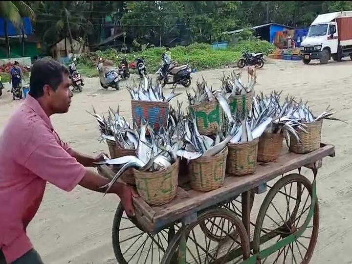 कोकणात जवळपास दोन महिन्याच्या विश्रांतीनंतर ऑगस्ट महिन्यामध्ये मासेमारी पुन्हा सुरु झाली आहे.