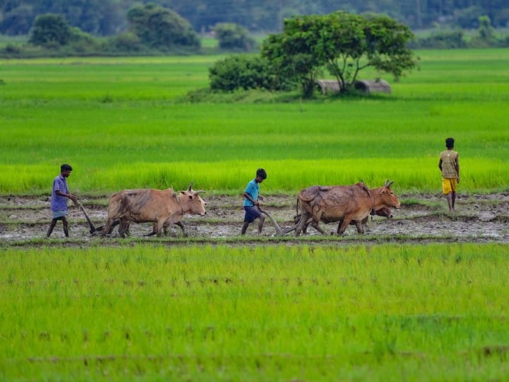 The government has decided to provide 10 hours of electricity in 14 more districts of Gujarat Gandhinagar: ગુજરાત સરકારે વધુ એક ખેડૂતોની માગ સ્વિકારી, જાણો શું લીધો નિર્ણય