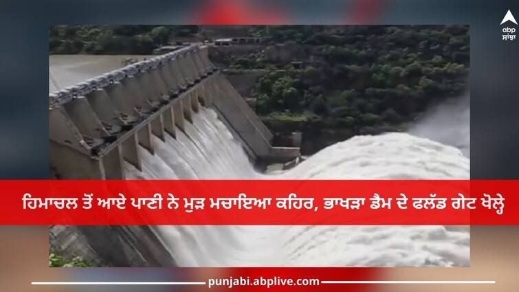 Flood in Punjab: water from Himachal created fury again, floodgates of Bhakra Dam were opened Flood in Punjab: ਹਿਮਾਚਲ ਤੋਂ ਆਏ ਪਾਣੀ ਨੇ ਮੁੜ ਮਚਾਇਆ ਕਹਿਰ, ਭਾਖੜਾ ਡੈਮ ਦੇ ਫਲੱਡ ਗੇਟ ਖੋਲ੍ਹੇ, ਸਤਲੁਜ ਕੰਢੇ ਵੱਸੇ ਪਿੰਡ ਖਾਲੀ ਕਰਾਏ