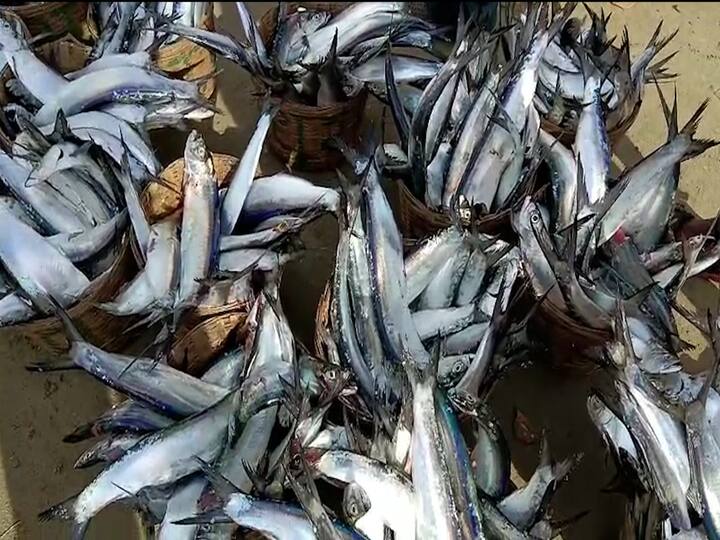 सुरुवातीला फक्त दहा ते बारा टोपल्यांना प्रती टोपली पाचशे ते सहाशे भाव मिळाला.