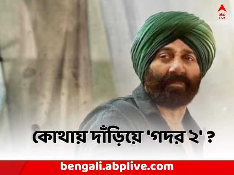 Sunny Deol Gadar 2 box office collection day 14 Sunny Deol Ameesha Patel movie earns 8 Crore in India Sunny Deol Gadar 2: 'পাঠান'-র সঙ্গে পাল্লা দিয়ে বক্স অফিসে 'গদর ২', ১৪ তম দিনে কোথায় দাঁড়িয়ে সানির ছবি ?