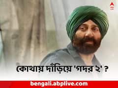 'পাঠান'-র সঙ্গে পাল্লা দিয়ে বক্স অফিসে 'গদর ২', ১৪ তম দিনে কোথায় দাঁড়িয়ে সানির ছবি ?