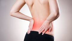 Health: બેક પેઇનથી પરેશાન છો? તો ડાયટમાં આ ફૂડને કરો સામેલ, મળશે રાહત