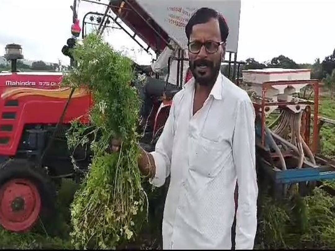 Agriculture News : कोथिंबीरच्या दरात घसरण, पारनेर तालुक्यातील शेतकऱ्यानं एक एकर कोथिंबीरवर फिरवला रोटर Due to fall in the price of coriander the farmer turned the tractor on one acre of coriander crop Agriculture News : कोथिंबीरच्या दरात घसरण, पारनेर तालुक्यातील शेतकऱ्यानं एक एकर कोथिंबीरवर फिरवला रोटर