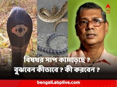 বিষধর সাপ কামড়েছে কি না বুঝবেন কীভাবে ? কী করবেন ? উত্তর দিচ্ছেন বাংলার সাপ ডাক্তার