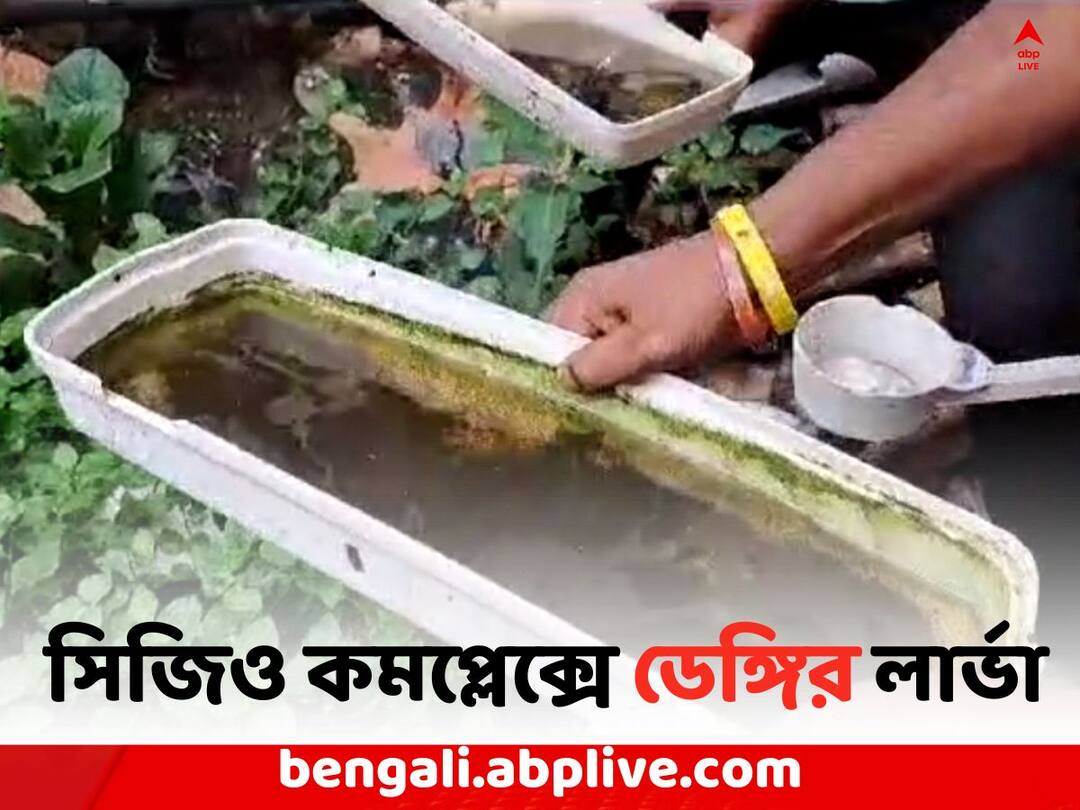Dengue: সিজিও কমপ্লেক্সের ভিতরে এবর মিলল ডেঙ্গির লার্ভা Kolkata Local News: Dengue larvae has been found in CGO complex Dengue: সিজিও কমপ্লেক্সের ভিতরে এবর মিলল ডেঙ্গির লার্ভা