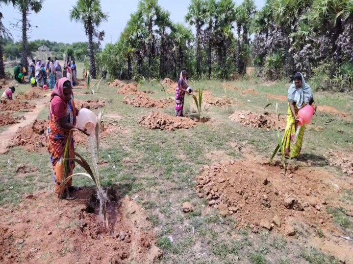 புகழ்பெற்ற நடவாவி கிணறு..! பசுமையா மாறப்போகுது..! காஞ்சிபுரம் மக்களுக்கு ஜாலிதான்..!