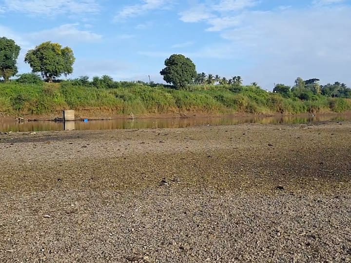 सध्या आयर्विन पुलाच्या खालचे कृष्णा नदीचं कोरडं पात्र दिसू लागलं आहे.