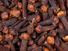 रात में दो लौंग खाने से कोसों दूर रहेंगी ये खतरनाक बीमारियां, सेहत को मिलेंगे कई जबरदस्त फायदे