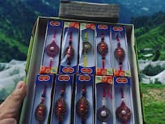 मिट्टी में मिलते ही पौधा बन जाएगी ये राखी! भाई-बहन के रिश्ते के साथ पर्यावरण का भी रखेगी ख्याल