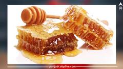 Health Care: ਹਾਰਟ ਅਟੈਕ ਤੋਂ ਲੈ ਕੇ ਖੰਘ ਦੀ ਦਵਾਈ ਇਹ ਚੀਜ਼..ਜਾਣੋ ਇਸ ਦੇ ਫਾਇਦਿਆਂ ਬਾਰੇ