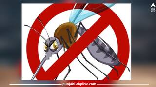 Zika Virus: ਜ਼ੀਕਾ ਵਾਇਰਸ ਕੀ ਹੈ? ਜਾਣੋ ਇਸ ਦੇ ਲੱਛਣ, ਕਾਰਨ ਅਤੇ ਰੋਕਥਾਮ ਦੇ ਤਰੀਕੇ