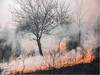 Hawaii Wildfires: ਅਮਰੀਕਾ ਦੇ ਜੰਗਲਾਂ 'ਚ ਭਿਆਨਕ ਅੱਗ ਲੱਗਣ ਤੋਂ ਬਾਅਦ 400 ਲੋਕ ਲਾਪਤਾ, FBI ਨੇ ਜਾਰੀ ਕੀਤੀ ਨਾਮਾਂ ਦੀ ਲਿਸਟ, ਤਲਾਸ਼ ਜਾਰੀ