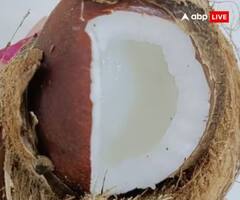 Hindu Ritual: ਹਿੰਦੂ ਧਰਮ ਵਿੱਚ ਔਰਤਾਂ ਨਾਰੀਅਲ ਕਿਉਂ ਨਹੀਂ ਤੋੜਦੀਆਂ, ਜਾਣੋ ਇਸਦੇ ਪਿੱਛੇ ਦਾ ਖਾਸ ਕਾਰਨ