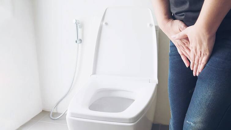 Can STI and UTI be spread by sitting on a toilet seat Know the answer from the expert Health Tips : ਕੀ Toilet Seat 'ਤੇ ਬੈਠਣ ਨਾਲ ਫੈਲ ਸਕਦੈ STI ਤੇ UTI? ਜਾਣੋ ਐਕਸਪਰਟ ਤੋਂ ਇਸ ਦਾ ਜਵਾਬ
