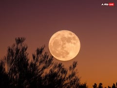 Kajari Teej 2023: 2 सितंबर को कजरी तीज व्रत, जानें स्त्रियां क्या करें, क्या न करें