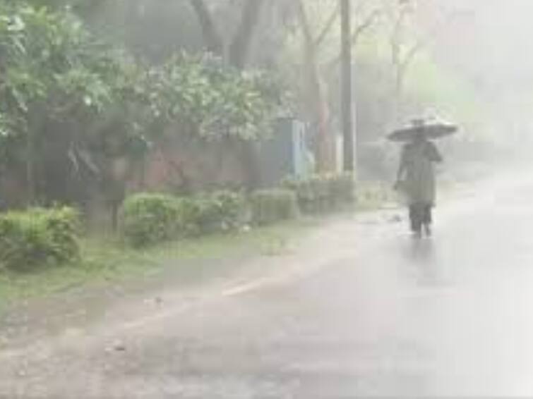 Heavy rain is likely in 10 districts of Tamil Nadu tomorrow weather report Rain Alert :தமிழகத்தில் நாளை 10 மாவட்டங்களில் கன மழைக்கு வாய்ப்பு: எந்தெந்த மாவட்டங்களில் தெரியுமா?