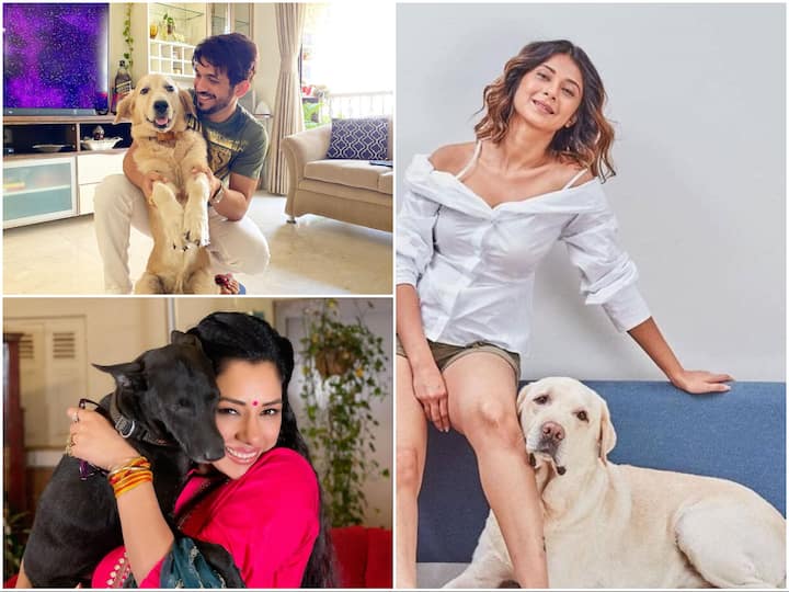 From Rupali Ganguly to Jennifer Winger, popular television actors are absolutely in love with their adorable dogs. Here's taking a look at them.