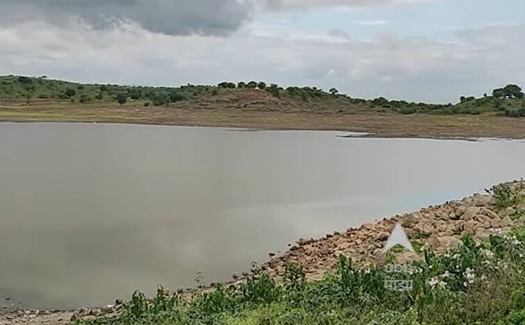 Ahmednagar Latest News sign of drought in Ahmednagar district due to torrential rains Maharashtra News Ahmednagar Drought : पावसानं ओढ दिल्यानं अहमदनगर जिल्ह्यात दुष्काळाची चिन्ह; 52 मंडळात 21 दिवसांपासून पाऊसच नाही