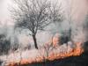 Hawaii Wildfires: हवाई में जंगल की आग के बाद 400 लोग लापता, FBI ने जारी की नामों की लिस्ट, तलाशी जारी