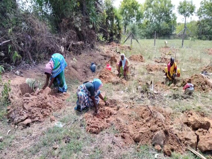 புகழ்பெற்ற நடவாவி கிணறு..! பசுமையா மாறப்போகுது..! காஞ்சிபுரம் மக்களுக்கு ஜாலிதான்..!