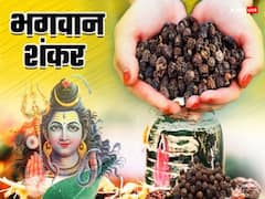 Sawan Pradosh Vrat 2023: नौकरी में है परेशानी तो सोम प्रदोष व्रत में करें काली मिर्च का ये उपाय, मिलेगी सफलता