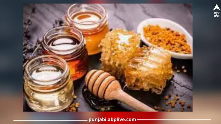 health tips honey beneficial in infection cough heart attack and other diseases read this article health news Heart Attack: ਹਾਰਟ ਅਟੈਕ ਤੋਂ ਲੈ ਕੇ ਖੰਘ ਦੀ ਦਵਾਈ ਹੈ ਇਹ ਚੀਜ਼, ਖੰਡ ਦੀ ਥਾਂ ਕਰੋ ਇਸ ਦੀ ਵਰਤੋਂ ਫਿਰ ਦੇਖੋ ਕਮਾਲ