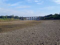 सांगलीत कृष्णेचं पात्र कोरडंठाक; भीषण पाणी टंचाई उद्भवणार, कोयना धरणातून विसर्गाची गरज भासणार