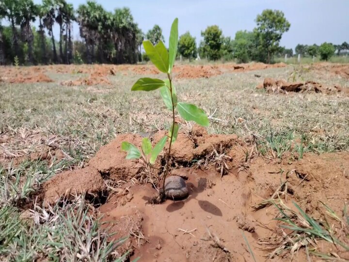 புகழ்பெற்ற நடவாவி கிணறு..! பசுமையா மாறப்போகுது..! காஞ்சிபுரம் மக்களுக்கு ஜாலிதான்..!